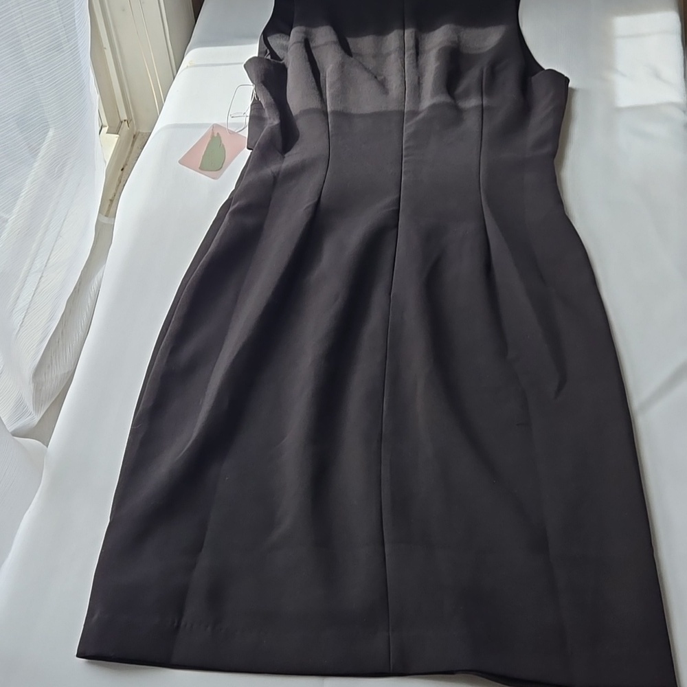 Elegant Black Sleeveless Dress - Picture 5 of 6